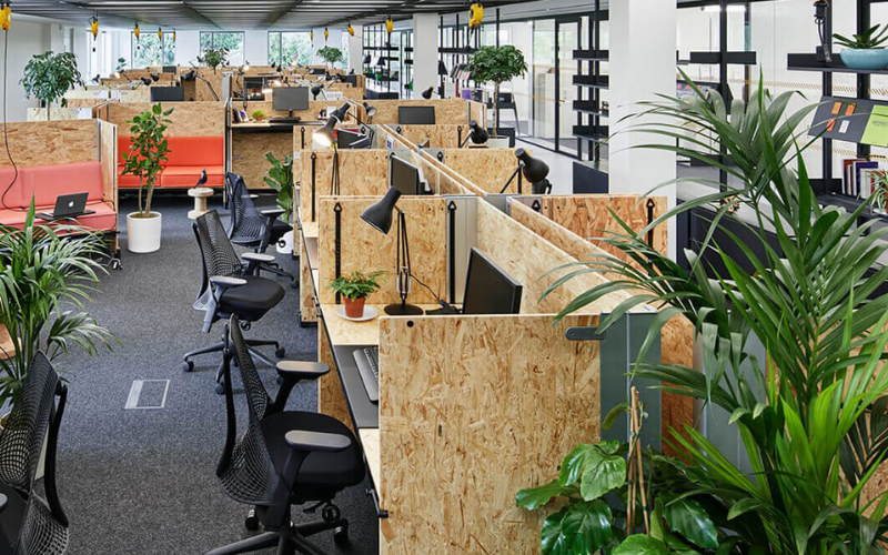 Cây văn phòng tạo độ ẩm cải thiện không gian làm việc