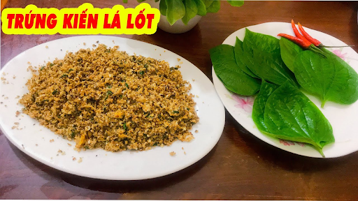 Lạ chưa, lá lốt “hốt” trứng kiến