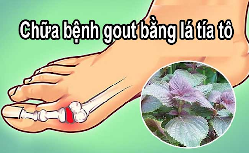 Tía tô tốt cho người bệnh gout (Ảnh internet)