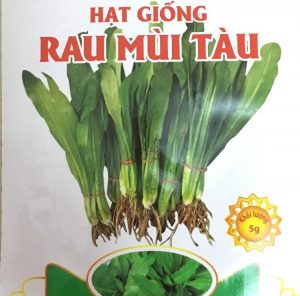 Hạt giống rau mùi tàu_Ảnh: Sưu tầm