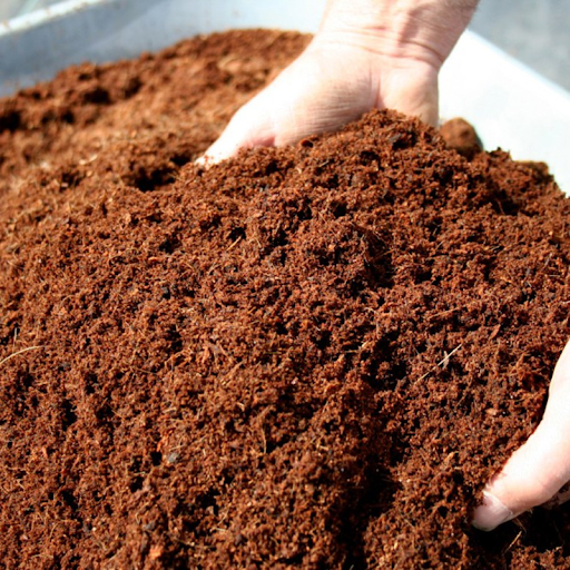 Trộn thêm phân hữu cơ, trấu để tạo độ xốp và tạo mùn cho đất (Ảnh sưu tầm)