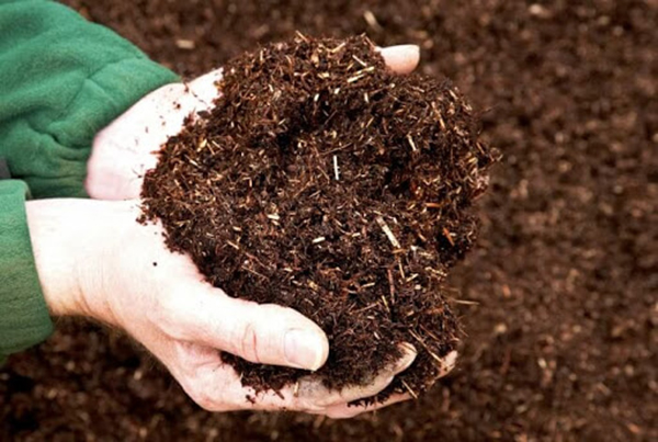 Chuẩn bị đất dinh dưỡng để trồng cây (Nguồn: HydroWorks)